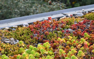 the cost of Flinton green roof installation