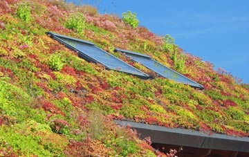 Flinton living roof systems