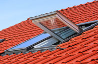 Flinton roof window